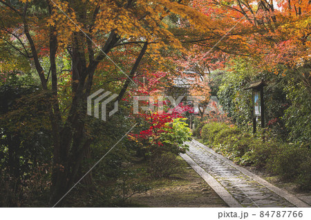 正受院の紅葉 正受院の紅葉 84787766