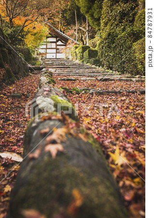 秋の正伝寺 84787931