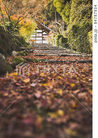 秋の正伝寺 84787934