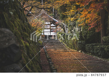 秋の正伝寺 84787937