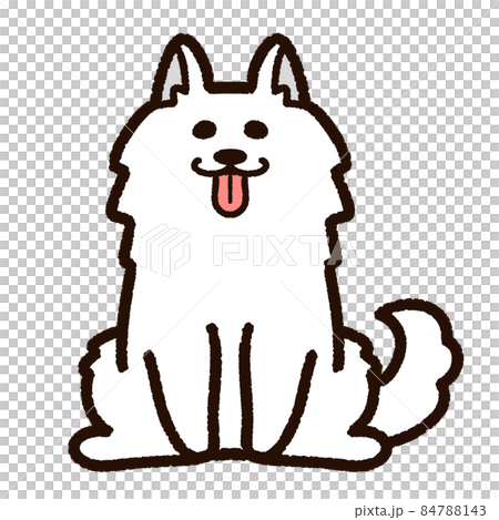 かわいいサモエド 84788143