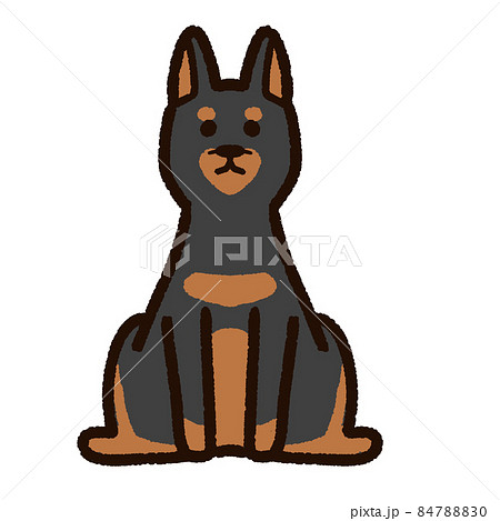 Cute Doberman Standing Ears Stock Illustration 8470