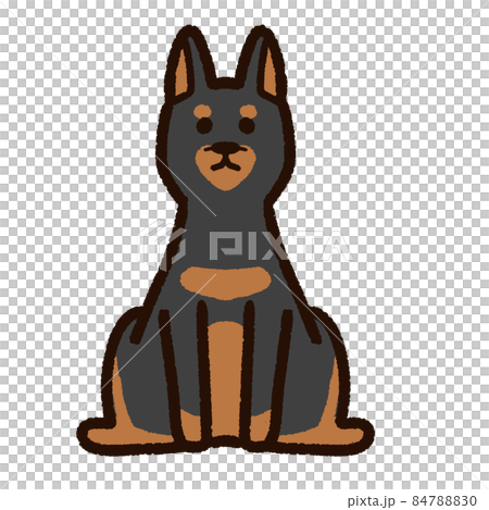 Cute Doberman standing ears 84788830