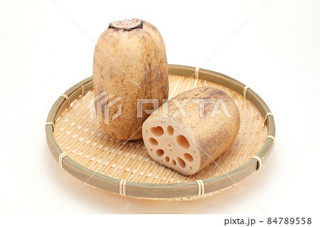 レンコン レンコン 84789558