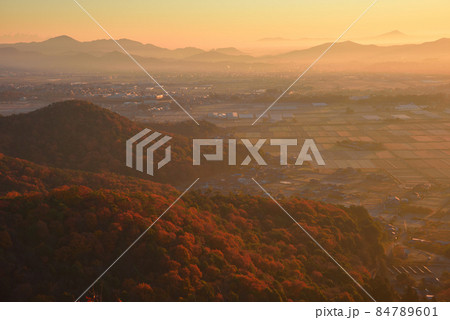 紅葉の大小山　山頂南側小ピークから朝の大小山山麓、三毳山方面を見る 84789601