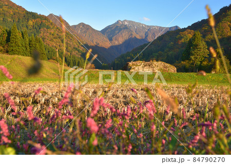 越後駒ケ岳　水無川沿いの田園から見る晩秋の越後駒ケ岳 84790270