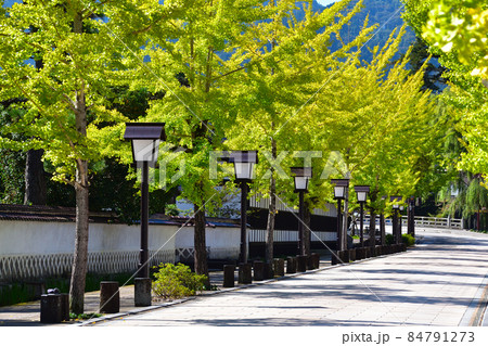 津和野町　殿町通り 84791273