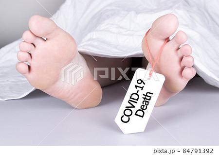 Body with toe tag on white 84791392