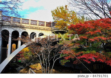 東京都北区　音無橋と紅葉 84791701