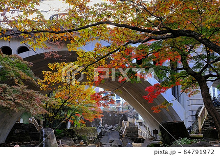 東京都北区　音無橋と紅葉 84791972