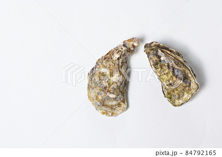 産地直送の獲れたての生ガキ 冬の高級食材の牡蠣 産地直送の獲れたての生ガキ 冬の高級食材の牡蠣 84792165