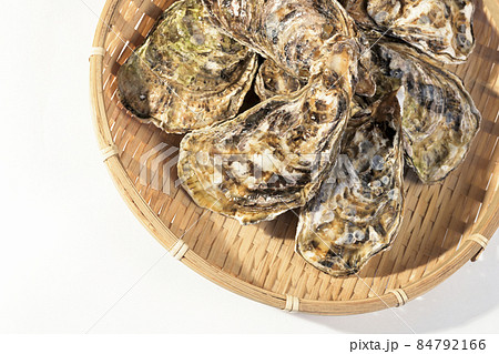 産地直送の獲れたての生ガキ 冬の高級食材の牡蠣 産地直送の獲れたての生ガキ 冬の高級食材の牡蠣 84792166