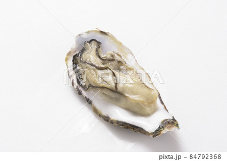 産地直送の獲れ産地直送の獲れたての生ガキのむき身　冬の高級食たての生ガキのむき身　冬の高級食材の牡蠣 84792368