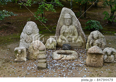 金閣寺より 金閣寺より 84794479