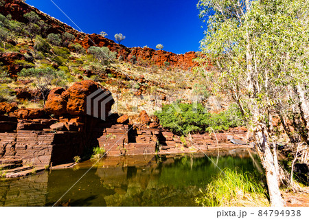 オーストラリア 西オーストラリア州にあるカリジニ国立公園のデイルズ渓谷のウォーキングトラック オーストラリア 西オーストラリア州にあるカリジニ国立公園のデイルズ渓谷のウォーキングトラック 84794938