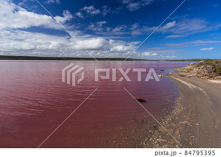 オーストラリア ハット・ラグーン ピンクに染まった塩湖 オーストラリア ハット・ラグーン ピンクに染まった塩湖 84795395