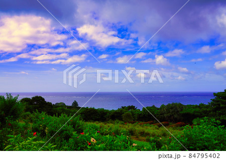 南国の風景、石垣島 84795402