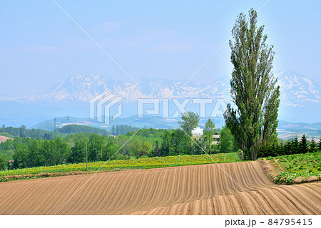 北海道 美瑛町初夏風景 北国の春 北の大地 遠望は十勝連峰 オプタテシケ 美瑛富士 美瑛岳 北海道 美瑛町初夏風景 北国の春 北の大地 遠望は十勝連峰 オプタテシケ 美瑛富士 美瑛岳 84795415