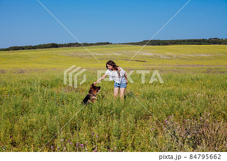 beautiful woman walking with dog shepherd dog in the field beautiful woman walking with dog shepherd dog in the field 84795662