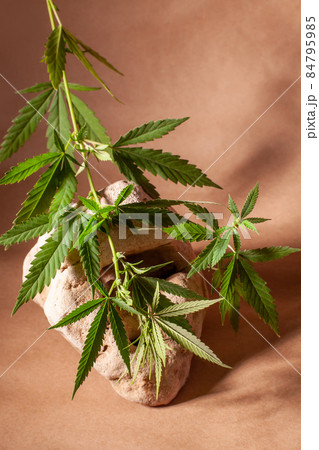 Branch of cannabis on natural stone and craft paper. 84795985