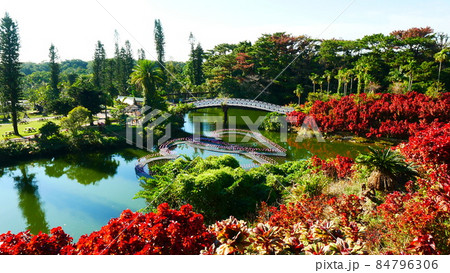東南植物楽園 84796306