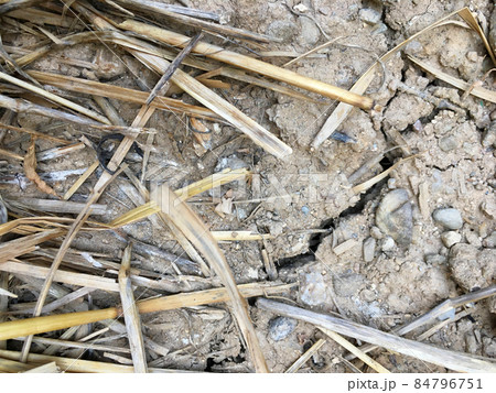 Cracked soil because of drought. 84796751