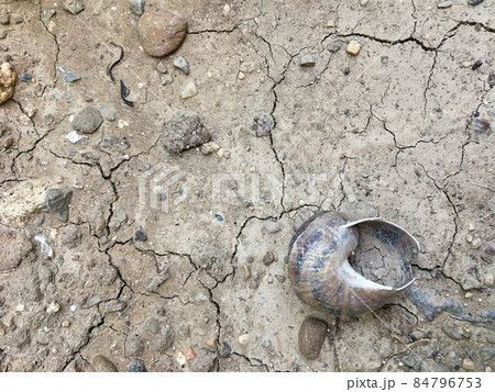 Cracked soil because of drought. Cracked soil because of drought. 84796753