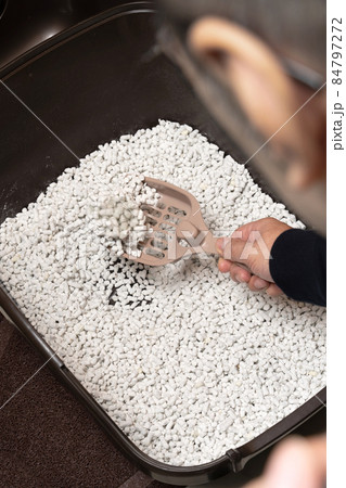 猫のトイレを掃除する人 猫砂 紙砂 猫のトイレを掃除する人 猫砂 紙砂 84797272