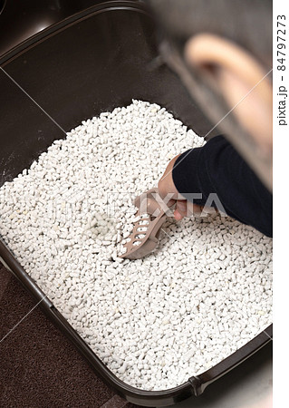 猫のトイレを掃除する人 猫砂 紙砂 猫のトイレを掃除する人 猫砂 紙砂 84797273