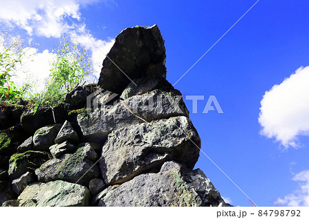 利神城 利神城 84798792