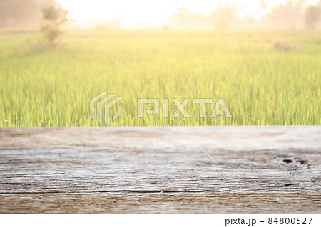 Wooden table surface view with rice field garden background Wooden table surface view with rice field garden background 84800527