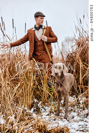 Hunter in Forest with dog. focus on dog. Man holding shotgun. Hunter man. 84800763