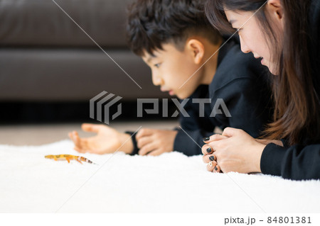 子供 小学生 トカゲ 84801381