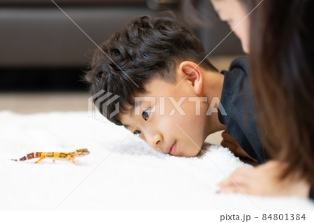 子供 小学生 トカゲ 84801384