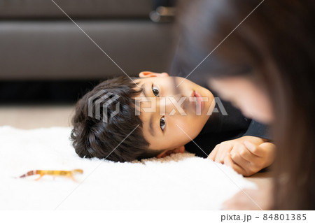 子供 小学生 トカゲ 84801385