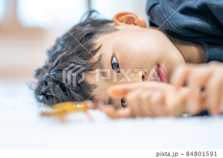 子供 男の子 男 84801591