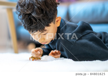 子供 ライフスタイル 1人 84801625