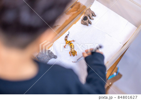 子供 ライフスタイル 1人 84801627