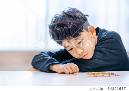 子供 ライフスタイル 1人 84801637