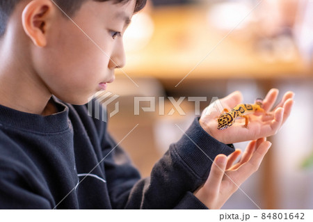 子供 ライフスタイル 1人 84801642