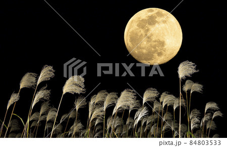 【秋イメージ】満月とススキ 84803533