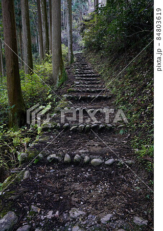 大阪府　岩湧山への登山道 84803619