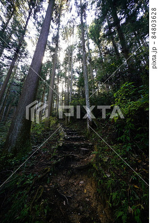 大阪府 岩湧山への登山道 大阪府 岩湧山への登山道 84803628