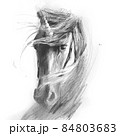 pencil Drawing unicorn realistic style, tattoo, shirt design, logo or sign 84803683