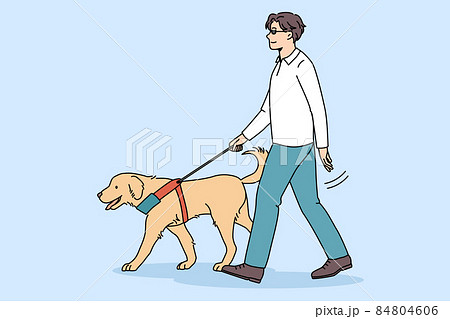 Trained guide dog help blind man Trained guide dog help blind man 84804606
