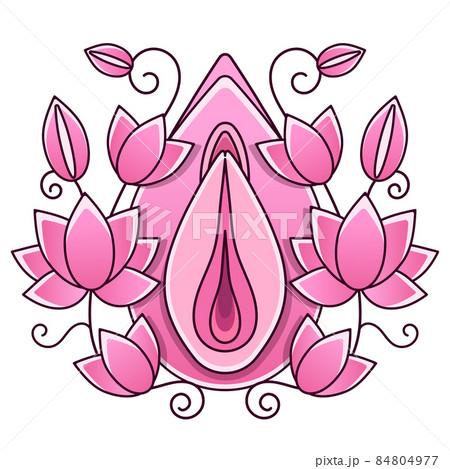 Light Pink Rose Flower on white background 84804977