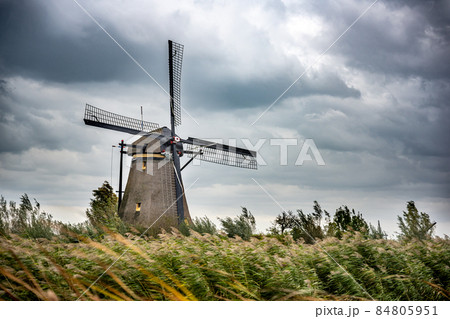 Dutch famous landscape, windmills 84805951