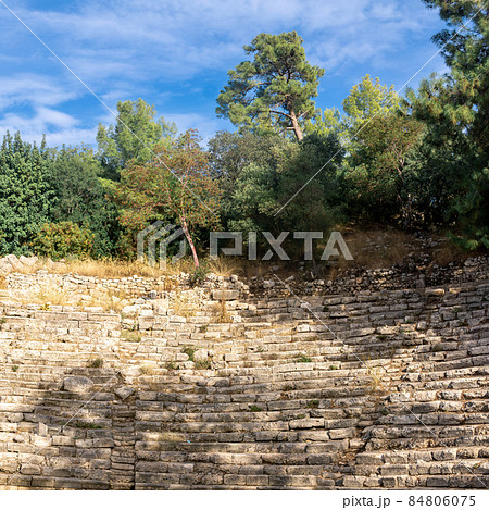 ruins of antique amphitheater among the forest in the ancient city of Phaselis, Turkey 84806075