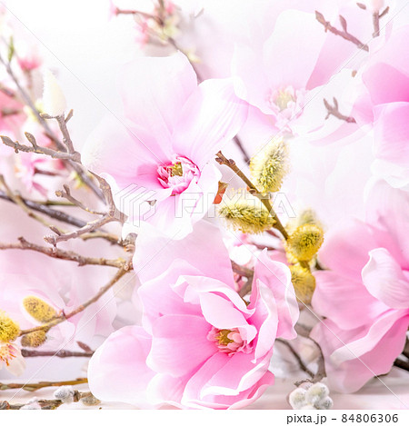 Beautiful pink spring flowers composition over white 84806306