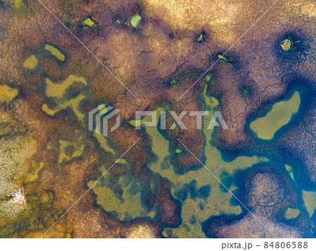 Close up of drying Pond in the end of summer Close up of drying Pond in the end of summer 84806588